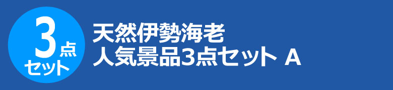 天然伊勢海老　人気景品3点セット A