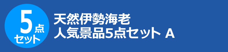 天然伊勢海老 人気景品5点セット A