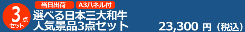 選べる日本三大和牛 人気景品3点セット