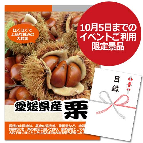 愛媛県産　栗【A3パネル・目録付】