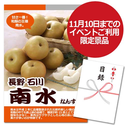 長野・石川　南水【A3パネル・目録付】