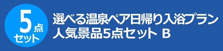 選べる温泉ペア日帰り入浴プラン　人気景品5点セット B