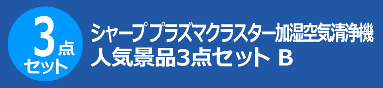 シャープ　プラズマクラスター　加湿空気清浄機　人気景品3点セット B