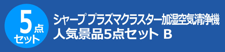 シャープ　プラズマクラスター　加湿空気清浄機　人気景品5点セット B