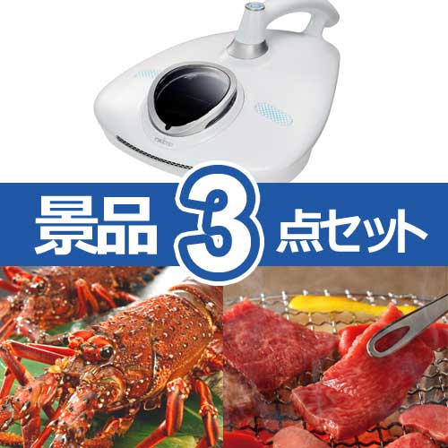 レイコップRN　人気景品3点セット B