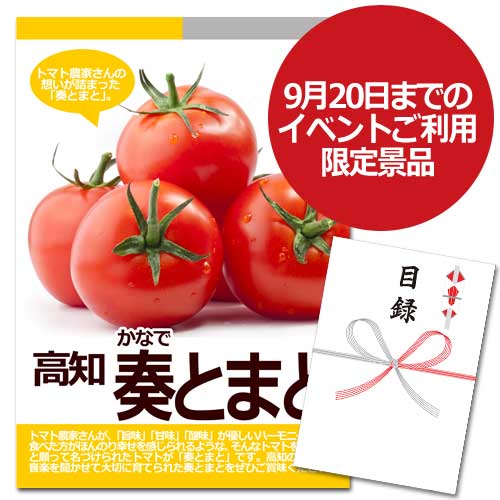 高知 奏とまと【A3パネル・目録付】