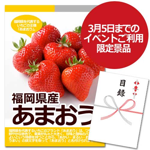 福岡県産 あまおう【A3パネル・目録付】