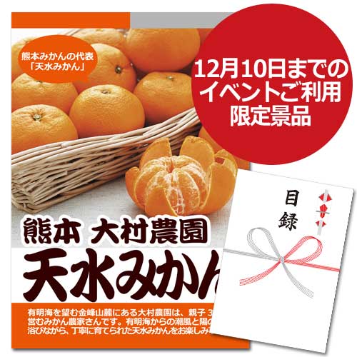 熊本　大村農園　天水みかん【A3パネル・目録付】