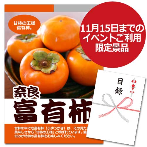 奈良  富有柿【A3パネル・目録付】