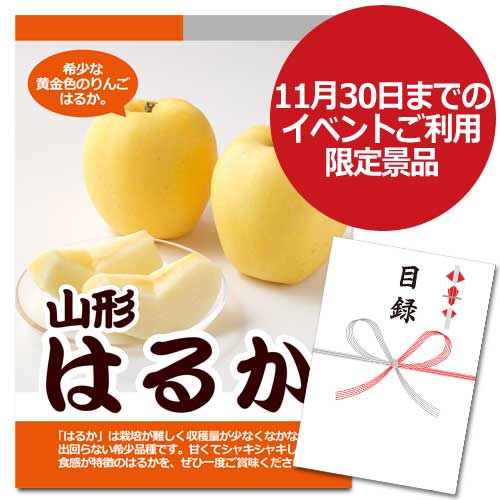 山形 はるかりんご【A3パネル・目録付】