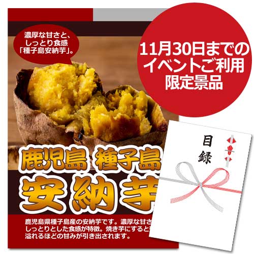 鹿児島 種子島 安納芋【A3パネル・目録付】