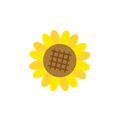 夏の家電